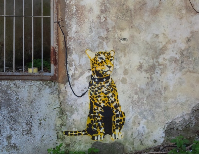 leopardo vietri sul mare inserra street art